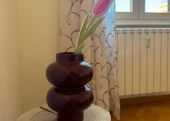 Comfy In Apartamento